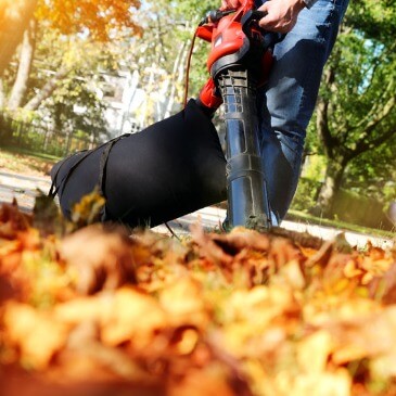 Fall cleanup in progress with leaves being cleared from beds