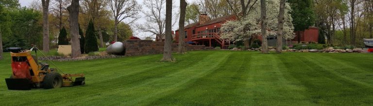 Professional Lawn Mowing