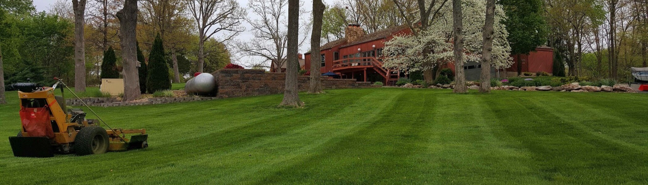 Professional Lawn Mowing