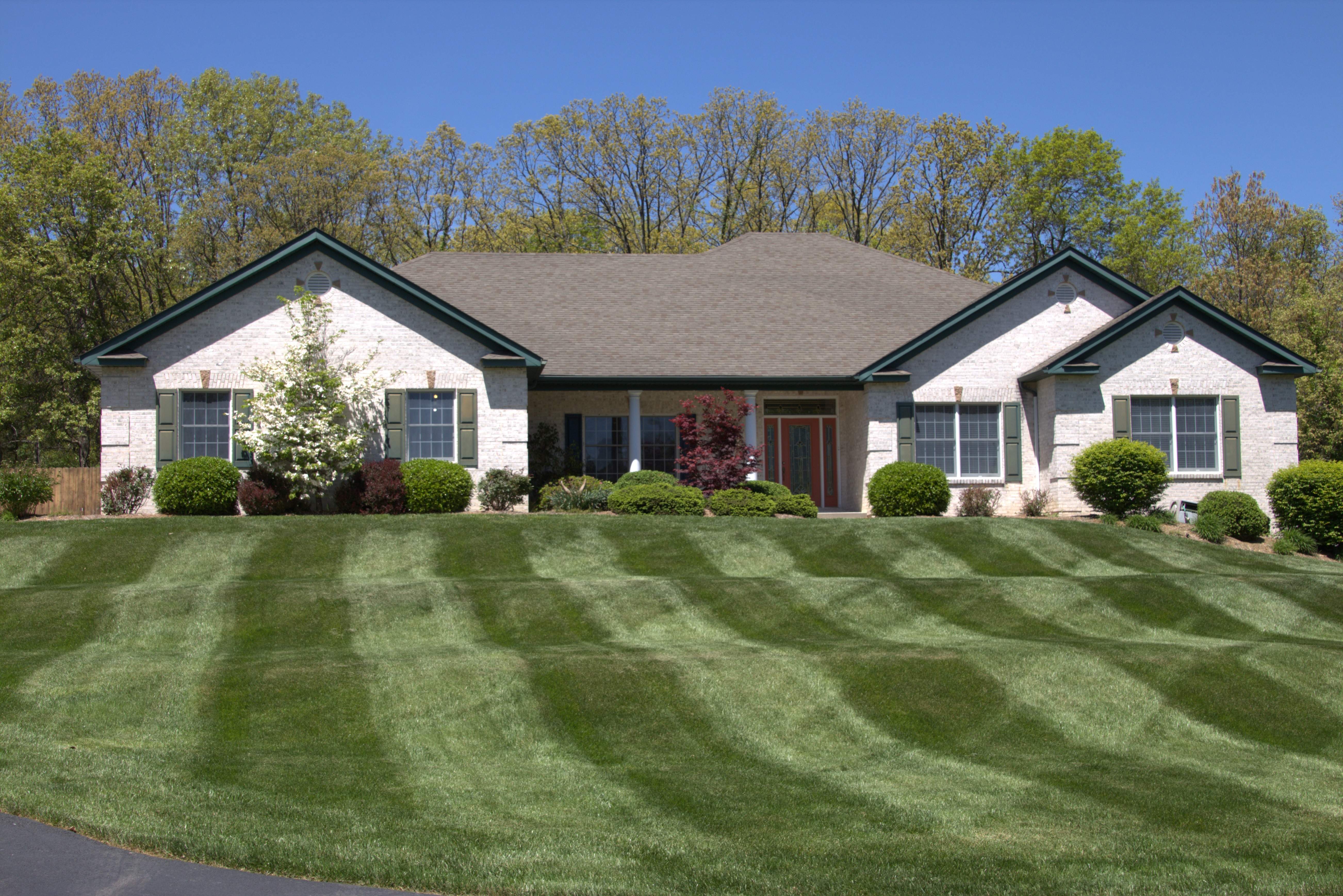 Striped lawn in front of a white stone house with dogwood tree