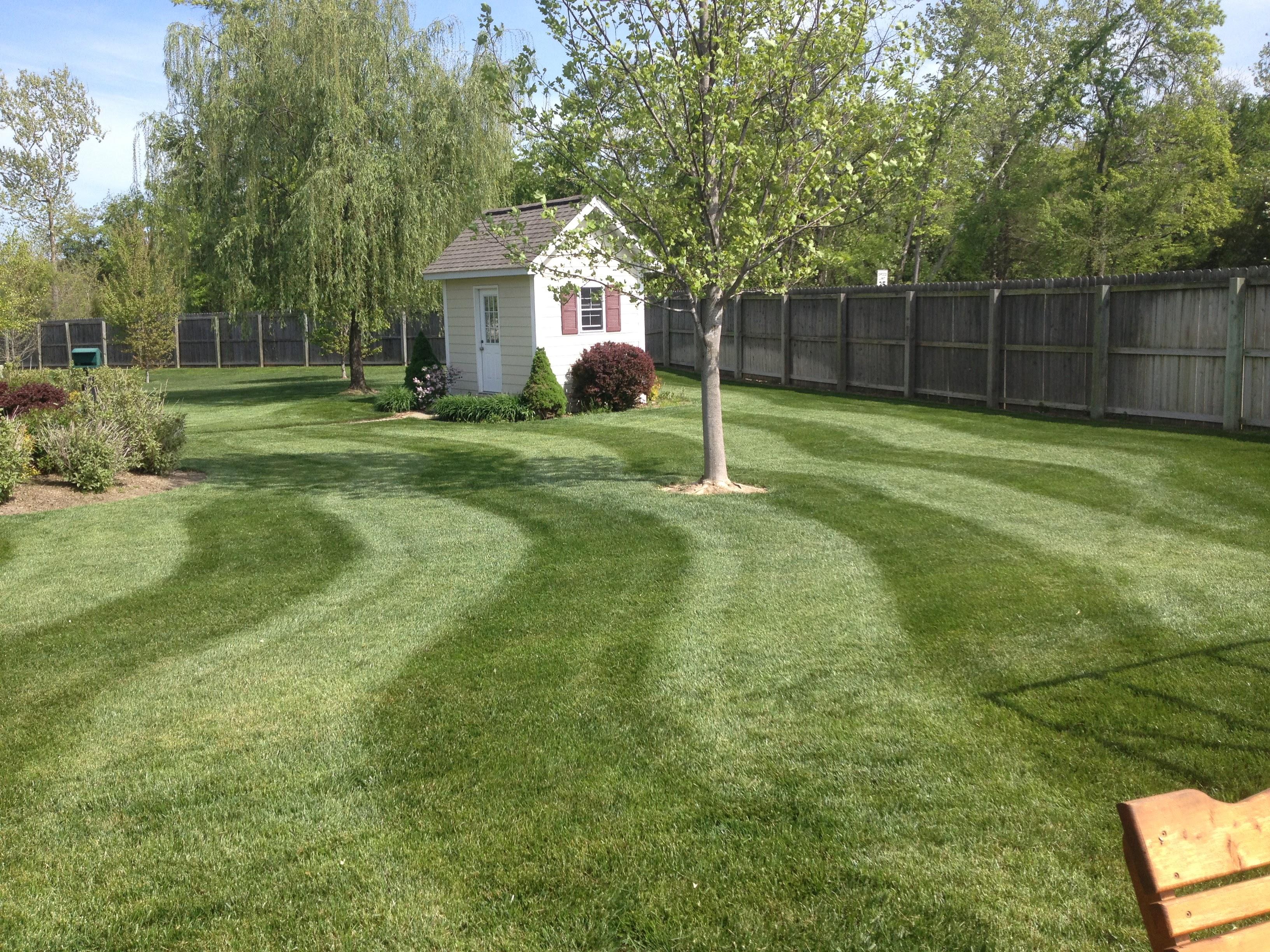 Beautifully striped backyard lawn after seasonal cleanup