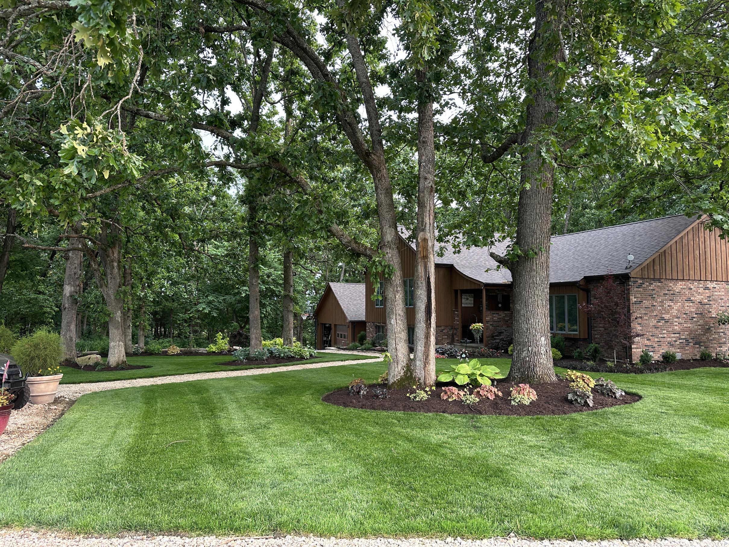 Estate property with striped lawn and mulch rings around oak trees