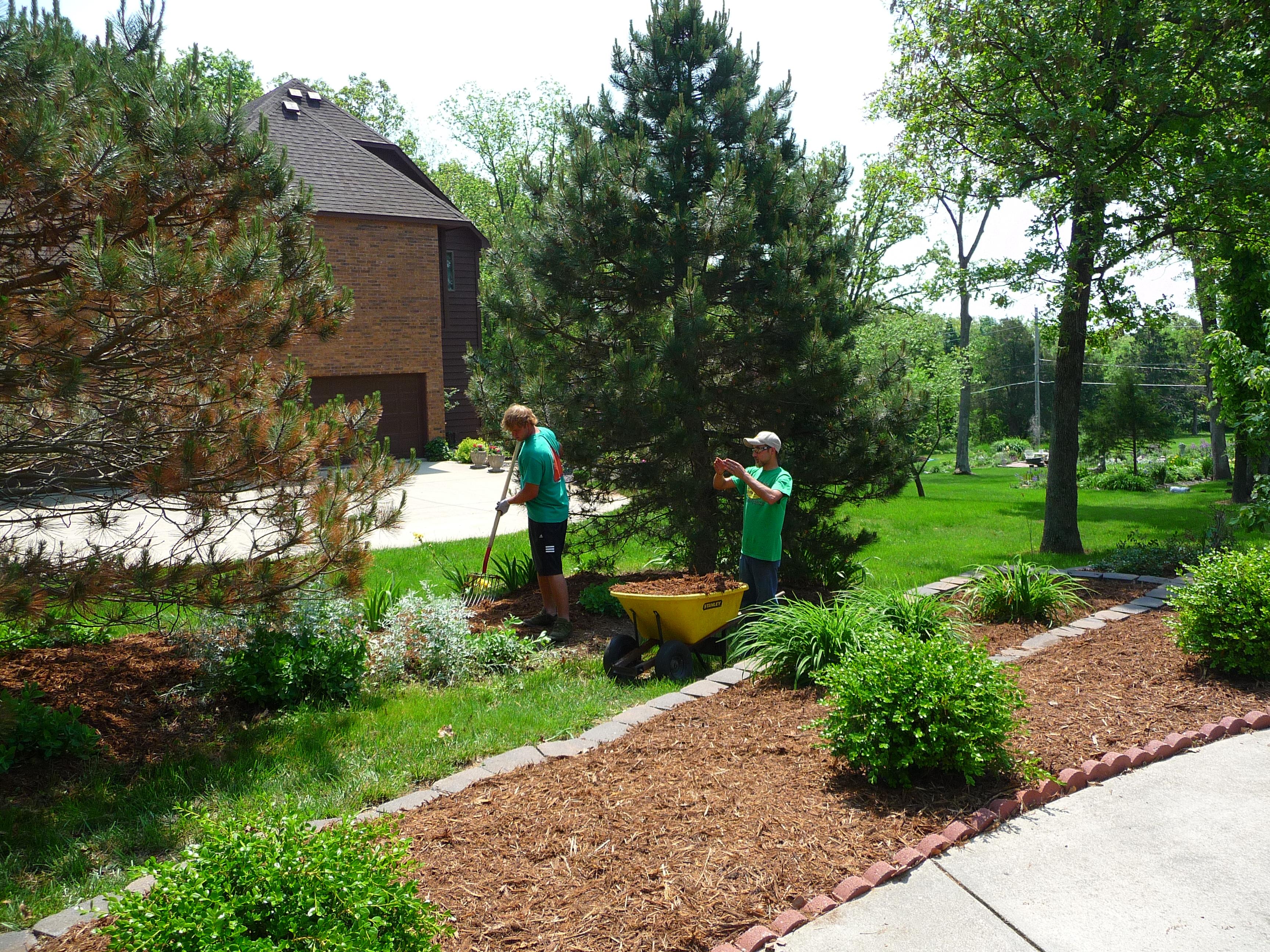 Crew spreading fresh mulch along a residential walkway and beds