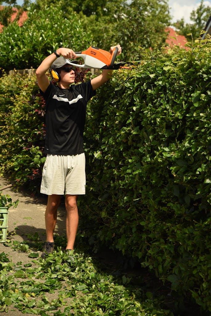 Adult man wearing shorts uses power trimmer on garden hedge during the day.